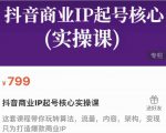抖音商业IP起号核心实操课，带你玩转算法，流量，内容，架构，变现-云途资源库