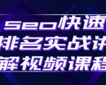 seo快速排名实战讲解视频课程，揭秘seo快排原理-云途资源库