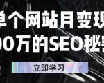 单个网站月变现100万的SEO秘密，百分百做出赚钱站点-云途资源库