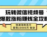 玩转微信视频号爆款涨粉赚钱全攻略，快速涨粉百万变现万元秘诀-云途资源库