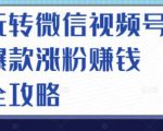 玩转微信视频号爆款涨粉赚钱全攻略，让你快速抓住流量风口，收获红利财富-云途资源库