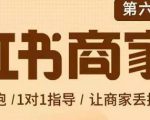 贾真-小红书商家营第6期商家版，21天带货陪跑课，让商家丢掉付流量-云途资源库