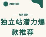 【跨境B哥】独立站潜力爆款选品推荐，测款出单率高达百分之80-云途资源库