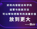 张sir账号流量增长课，告别海王流量，让你的流量更精准-云途资源库