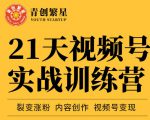 张萌21天视频号实战训练营，裂变涨粉、内容创作、视频号变现 价值298元-云途资源库