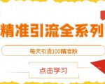 闲鱼精准引流全系列课程，每天引流100精准粉【视频课程】-云途资源库