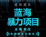 引流哥蓝海暴力躺赚项目：无需发圈无需引流无需售后，每单赚50-500（教程+线报群)-云途资源库