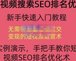 宋老师·短视频搜索SEO优化，教你10分钟创作一个短视频，三天排名上第一-云途资源库