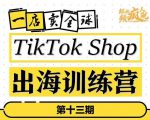 TikTokShop出海训练营（第十三期），打开全球流量新思维，出海抢占全球新流量，一店卖全球-云途资源库
