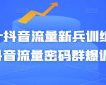 Peter抖音流量新兵训练营-破解抖音流量密码群爆训练营（新兵）-云途资源库