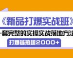凌童《新品打爆实战班》,一套完整的实操实战落地方法，打爆链接超2000+（28节课)-云途资源库