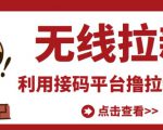 最新接码无限拉新项目，利用接码平台赚拉新平台差价，轻松日赚500+-云途资源库