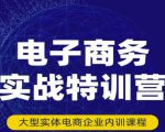 民赛电气内部出品：电子商务实战特训营，全方位带你入门电商，308种方式玩转电商-云途资源库
