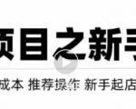 虚拟项目快速起店模式，0成本打造月入几万虚拟店铺！-云途资源库