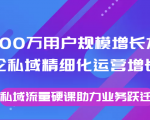 8000万用户规模增长方法论私域精细化运营增长，私域流量硬课助力业务跃迁-云途资源库