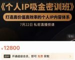 个人IP吸金密训班，打造高价值高效率的个人IP内容体系（价值12800元）-云途资源库