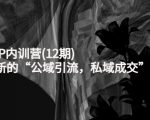 新媒体IP内训营(12期)，一套全新的“公域引流，私域成交”IP打法，直接带走-云途资源库