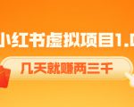 《小红书虚拟项目1.0》账号注册+养号+视频制作+引流+变现，几天就赚两三千-云途资源库