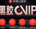 网易云音乐撸黑胶年卡及变现方法，收益可无限放大-云途资源库