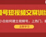 视频号短视频文案训练营：0基础小白如何建立视频号，上热门，能卖货！-云途资源库