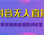 抖音无人直播带货赚佣金陪跑训练营（价值6980元）-云途资源库