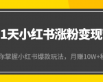 21天小红书涨粉变现营（第4期）：带你掌握小红书爆款玩法，月赚10W+秘密-云途资源库