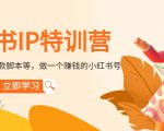 小红书IP特训营：从搭建-制作-爆款脚本等等，做一个赚钱的小红书号-云途资源库