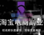 蓝Sir派·淘宝短视频快速起店，替代传统搜索方式，学会做一个不一样的淘宝店-云途资源库