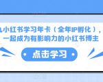 厦九九小红书学习年卡（全年IP孵化），沉浸式学习，一起成为有影响力的小红书博主-云途资源库