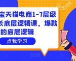 大圣淘宝天猫电商1-7层级盈利增长底层逻辑课，爆款的底层逻辑-云途资源库