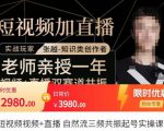 张越·短视频+直播，自然流三频共振起号实操课，​短视频所有流量玩法讲解-云途资源库