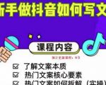 新手做抖音如何写文案，手把手实操如何拆解热门文案-云途资源库