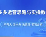拼多多店铺运营思路与实操教程，快速学会拼多多开店和运营，少踩坑，多盈利-云途资源库