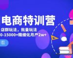 美团电商特训营：美团·店群玩法，无脑铺货月产出6000-15000+精细化月产2w+-云途资源库