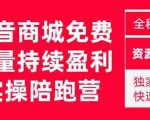 抖音商城搜索持续盈利陪跑成长营，抖音商城搜索从0-1、从1到10的全面解决方案-云途资源库