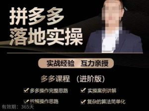 拼多多实战篇·落地实操：多多操作完整思路+实操案例讲解+拆解操作思路+复杂的算法简单化-云途资源库