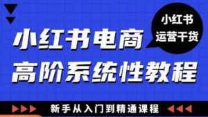 小红书电商高阶系统教程，新手从入门到精通系统课-云途资源库