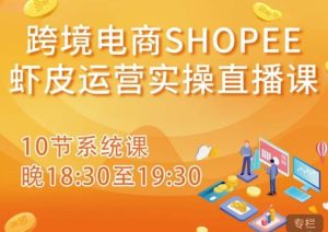 跨境电商Shopee虾皮运营实操直播课，从零开始学，入门到精通（10节系统课）-云途资源库