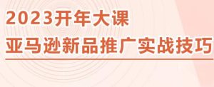 2023亚马逊新品推广实战技巧，线下百万美金课程的精简版，简单粗暴可复制，实操性强的推广手段-云途资源库