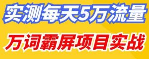 百度万词霸屏实操项目引流课，30天霸屏10万关键词-云途资源库