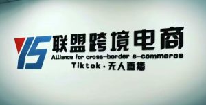 YS联盟·Tiktok无人直播，不出镜不剪辑不拍摄不发货无售后的跨境短视频躺赚玩法-云途资源库