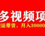 多多带货视频快速50爆款拿带货资格，搬运带货，月入30000【全套脚本+详细玩法】-云途资源库