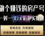 刘广标·同城房产号线上陪跑课，拍摄、剪辑、写文案、直播，做一个具有潜力价值的房产号-云途资源库