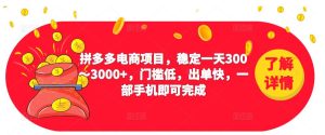 2023拼多多电商项目，稳定一天300～3000+，门槛低，出单快，一部手机即可完成-云途资源库