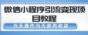 微信小程序引流变现项目教程，当天操作当天就有收益，变现不再是难事-云途资源库