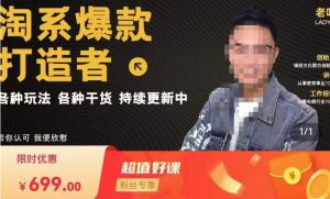 锋投老叶全店动销，淘系干货汇总，各种玩法，淘系爆款打造者-云途资源库