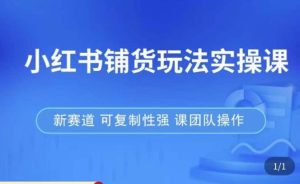 小红书铺货玩法实操课，流量大，竞争小，非常好做，新赛道，可复制性强，可团队操作-云途资源库