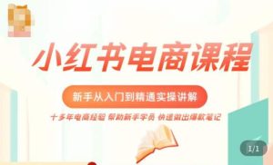 小红书电商新手入门到精通实操课，从入门到精通做爆款笔记，开店运营-云途资源库