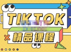 电商孵化中心·TikTok精品课程，教你玩转海外抖音，低成本创业，带您从0开始玩转TikTok-云途资源库