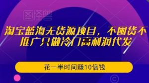 淘宝蓝海无货源项目，不囤货不推广只做冷门高利润代发，花一半时间赚10倍钱-云途资源库